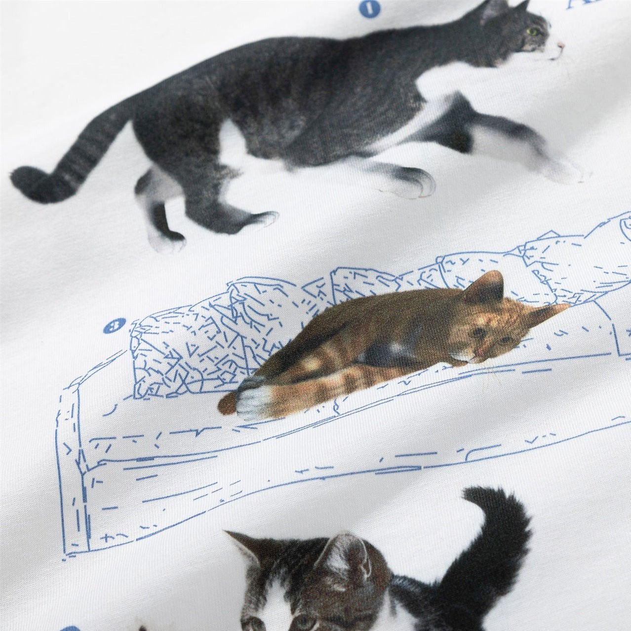 Cat print casual loose t-shirt